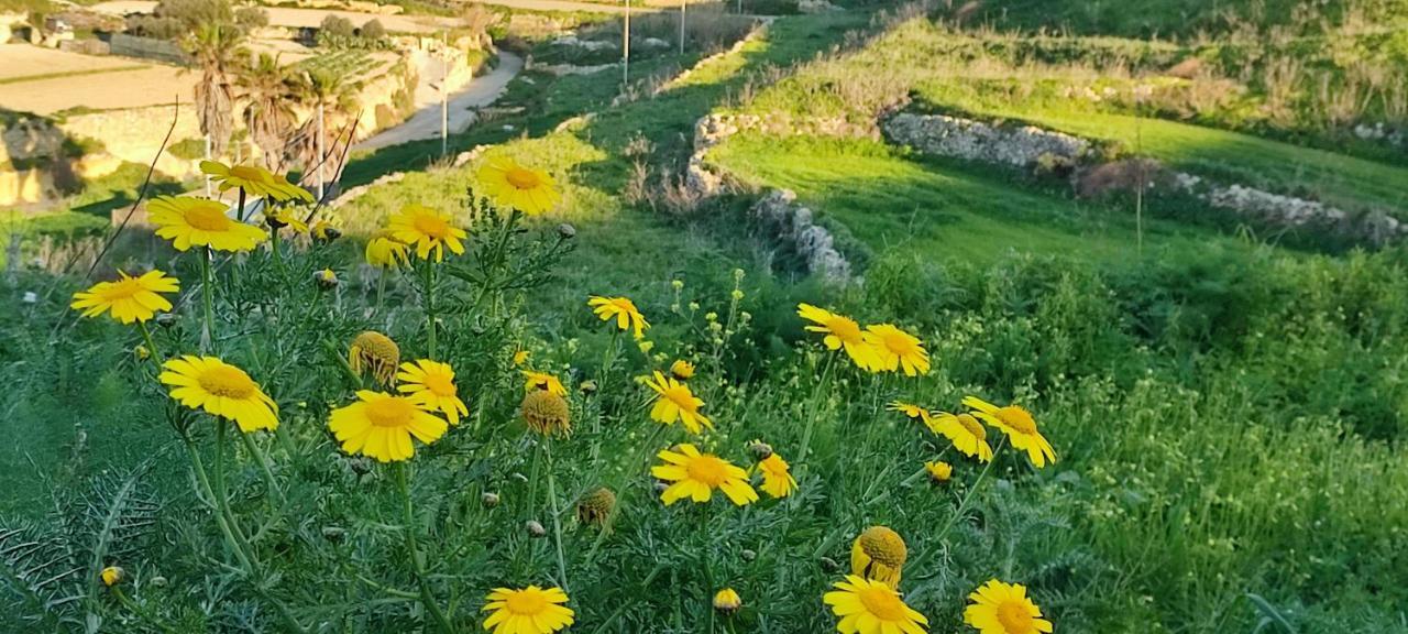 Grotto'S Paradise B&B Għarb Exteriér fotografie